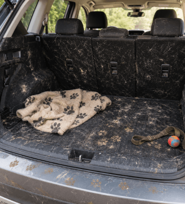Pet Hair and Odours