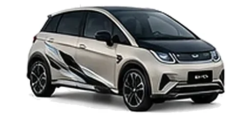 BYD Dolphin in Silver Sand with modern electric vehicle vinyl graphics, front three-quarter view on a white background.