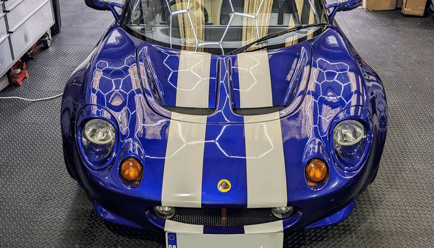 Lotus Vehicle Stripes